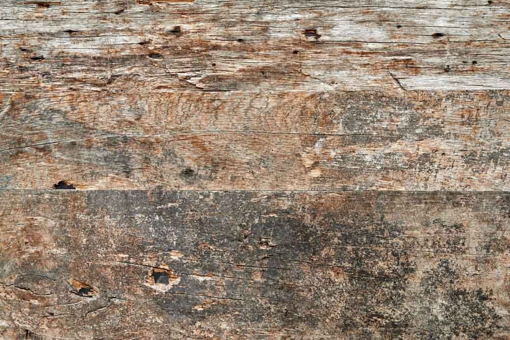 eingangsportal_massivholz_edelstahl_schreiner_07